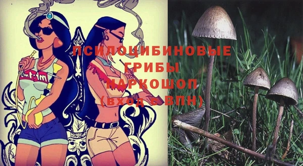 бутират Бронницы