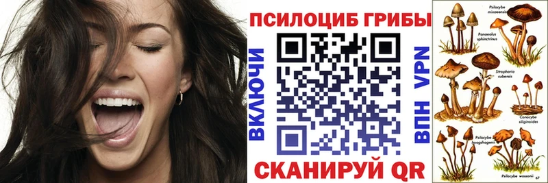Галлюциногенные грибы MAGIC MUSHROOMS купить Лыткарино